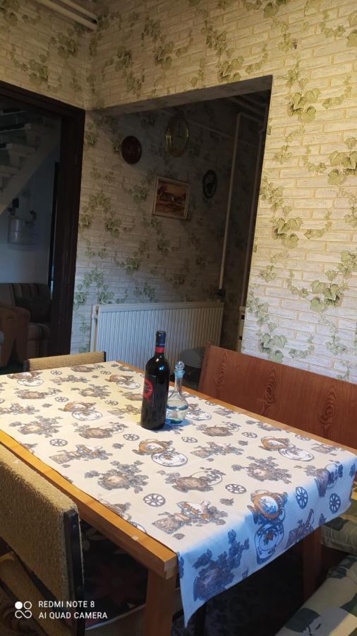 AbádszalókAbacsko Haz别墅 外观 照片